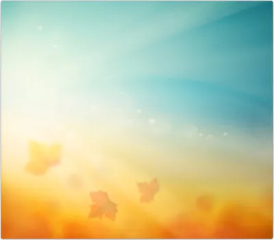 Produktbild von Spritzschutz Herdabdeckplatte Schneidebrett aus Glas Sonnenlicht im Herbst 1-Teilig (60x52cm)