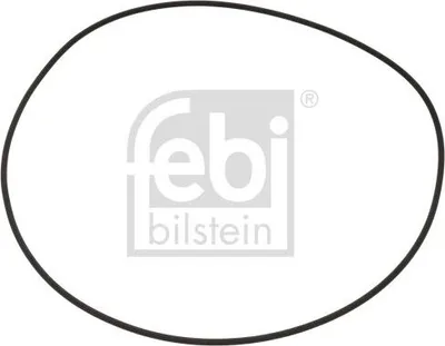 Produktbild von FEBI BILSTEIN Dichtring Radnabe 100256 4mm FPM (Fluor-Kautschuk) 258mm 262mm 0,02kg