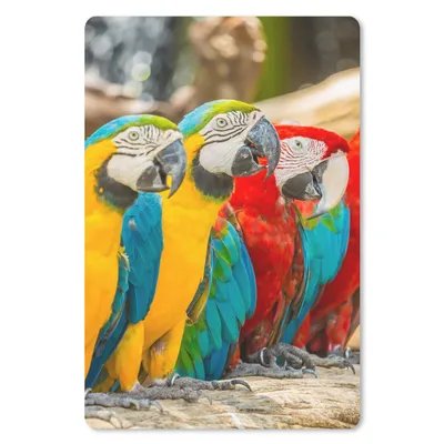 Produktbild von MuchoWow® Mauspad Mousepad Vögel - Papagei - Tropisch - Natur 18x27 cm - Mousepads - Maus Mat - Pad - Mausunterlage