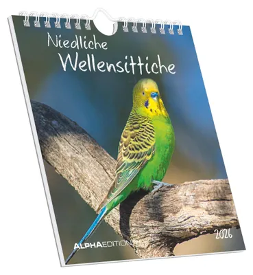 Produktbild von Alpha Edition - Niedliche Wellensittiche Kalender 2026 - Postkartenkalender 16×17 cm mit 12 Vogelmotiven zum Aufstellen oder Aufhängen, Tischkalender, ideales Geschenk für Wellensittich-Fans