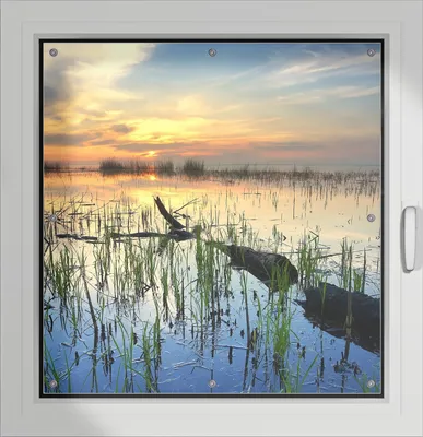Produktbild von Wallario Lichtschutzbild, Dekorativer Sichtschutz Sonnenschutz 96 x 100 cm mit Motiv: Schilf am Abend - Sonnenuntergang über der Seelandschaft - Verdunklung ohne Bohren