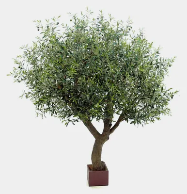 Produktbild von artplants.de Kunst Olivenbaum FULBERTA mit Früchten, Kunststamm, grün, 210cm - Deko Olivenbaum