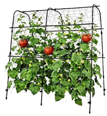 Produktbild von Kletterpflanzenstütze, hohe U-förmige Spalier, wetterfestes Design, 160*160cm