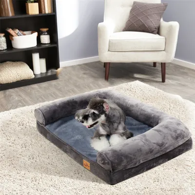 A dog is resting in a dog bed on a rug in a living room setting, with a bookshelf and armchair visible.