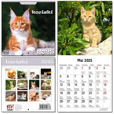 Zdjęcie produktu dla Kalendarz 2025 dla dzieci 16x32 13 plansz Kociaki - EV-Corp