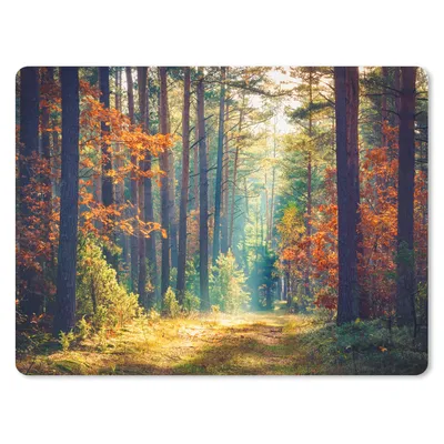 Produktbild von MuchoWow® Mauspad Mousepad Wald - Sonne - Natur - Herbst 23x19 cm - Mousepads - Maus Mat - Pad - Mausunterlage - Schreibtischunterlage - Mauspad