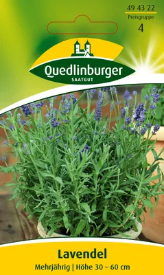 Produktbild von Lavendel | Lavendelsamen von Quedlinburger