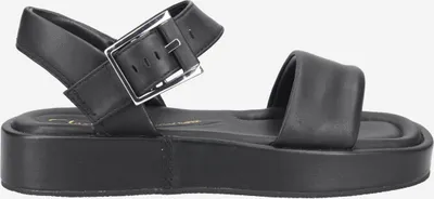 Image de Clarks Alda Strap 26176257 4, sandales noires pour femme, taille 37