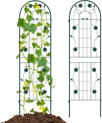 Produktbild von GOPLUS 2-teiliges Rankgitter aus Metall, Rankhilfe 180cm hoch, Sichtschutz Garten, Rosenspalier, Ranknetz, Rankgitter Balkon, Rankhilfe für Kletterpflanzen, Grün
