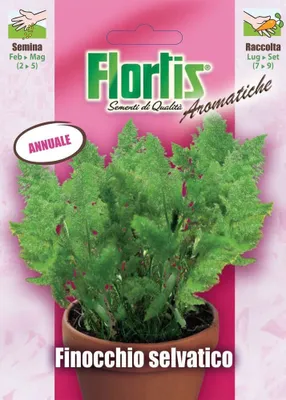 Produktbild von Fenchel | Fenchelsamen von Flortis