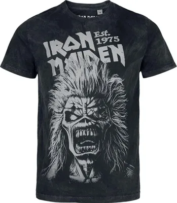 Produktbild von Iron Maiden T-Shirt Herren Eddie Portrait anthrazit S