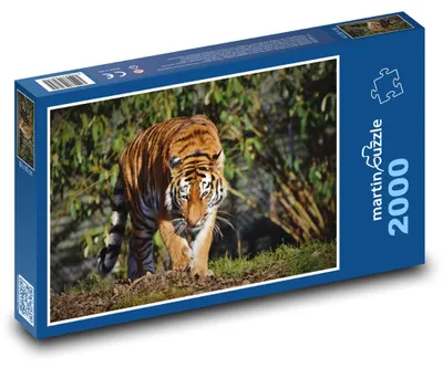 Obrázok produktu pre Puzzle 2000 Tiger v džungli - martinpuzzle