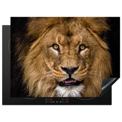 Produktbild von KitchenYeah© Herdabdeckplatte Löwe - Porträt - Schwarz - Tiere , 71x52cm, Küche Deko, Glaskeramikkochfeld Herdabdeckung, Abdeckplatte fùr Kochfeld