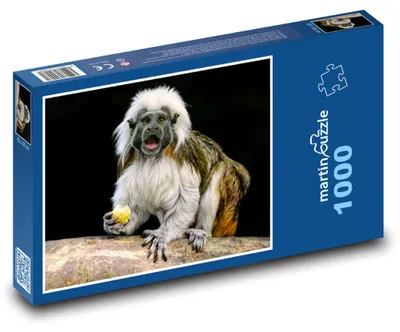 Zdjęcie produktu dla martinpuzzle - Puzzle 1000 elementów - Tamaryny