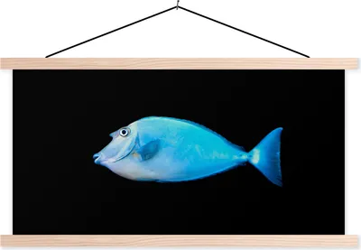 Produktbild von MuchoWow® Textilposter Fische - Meerestiere - Schwarz 120x60 cm mit holzfarbenen Rahmen - Klemmleiste