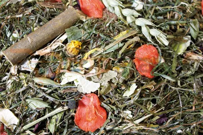 Produktbild von JR Grainless Herbs Zwergkaninchen Alleinfuttermischung 5 kg