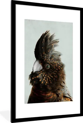 Produktbild von MuchoWow® MuchoWow® Gerahmtes Poster Kakadu - Vogel - Bronze 60x90 cm - Poster mit zchwarzem Bilderrahmen - Dekoration - Wandposter Wohnzimmer - Hochwertig