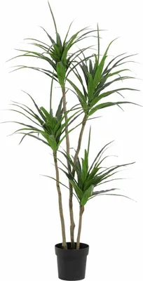 Immagine prodotto di Pianta artificiale Dracaena 165cm - Grande pianta decorativa Dracaena - Pianta