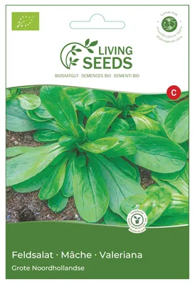 Produktbild von Feldsalat Grote Noordhollandse 8.6g Saatgut von Living Seeds