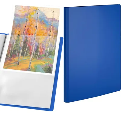 Produktbild von A4-Präsentationsmappe, 40 Fächer, blau, strapazierfähiges Polypropylen, erweiterbar, inklusive A5-Einlegeblatt