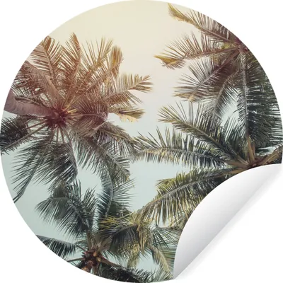Produktbild von MuchoWow® Runde Wandtattoo - Wandsticker Tapete Aufkleber Palme - Sommer - Tropisch Ø 50 cm Selbstklebend und Repositionierbar - Wandaufkleber - Kreis - Wand Kreis - Wand Bild - Foto Tapete - Selbstklebende - Wohnzimmerdekoration - Wand Dekoration - Kinderzimmer