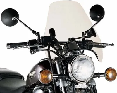 Image de Givi A601 Écran universel avec guidon à 2 points Bronze