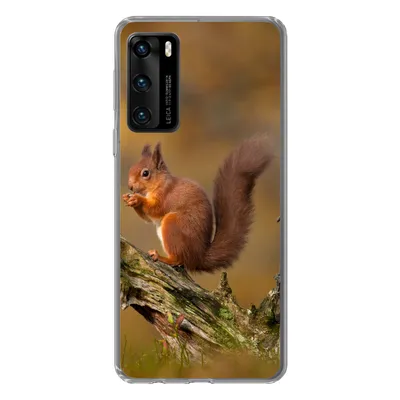 Produktbild von MuchoWow® Handyhülle Schutzhülle Hülle für Huawei P40 Eichhörnchen - Baumstamm - Wald Silikon Softcase Handy Hülle - Handytasche