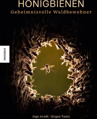 Obrázok produktu pre Honigbienen - Geheimnisvolle Waldbewohner