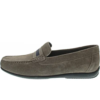 Produktbild von Geox Ascanio U450WA00022C1018 (41/dove grey)