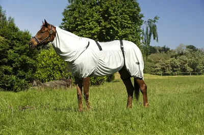 Produktbild von EQUI-THEME Ekzema Decke 140 cm