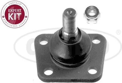 Produktbild von CORTECO Traggelenk Vorne Rechts Vorne Links Unten für FIAT DUCATO Kasten (290) 49399746