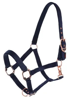 Produktbild von Covalliero Halfter Classy navy mit roségold, Größe:Cob
