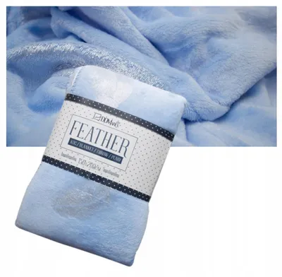 Produktbild von DOMAREX Kuscheldecke Mikroflanell Federn 150x200cm Blau