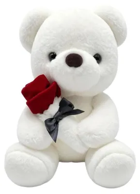 Produktbild von Teddybär mit Rose 23 cm Plüschtier Kuscheltier Geschenk Weiß