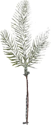 Produktbild von FICHTENZWEIG Weihnachtsdeko - schneebedeckt 1 St.