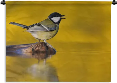 Produktbild von MuchoWow® Wandteppich Wandbehang Kohlmeise - Vogel - Wasser 120x90 cm Tapisserie Dekoration Wandtuch - Wohnen - Aufhänger für die Wand