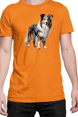 Immagine prodotto di Maglietta da uomo Dogs Breeds Collie Dog Breed 006, Man 2XL , Orange