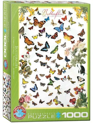 Image de EUROGRAPHICS Puzzle Papillons 1000 pièces