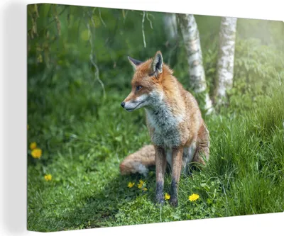 Zdjęcie produktu dla OneMillionCanvasses® - Obrazy na płótnie - 140x90 cm, Lis - Trawa - Drzewo, Dekoracja ścienna - Zdjęcie na płótnie - Obraz na drewnianej ramie