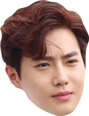 Image de Exo - Masques - Suho - Masque
