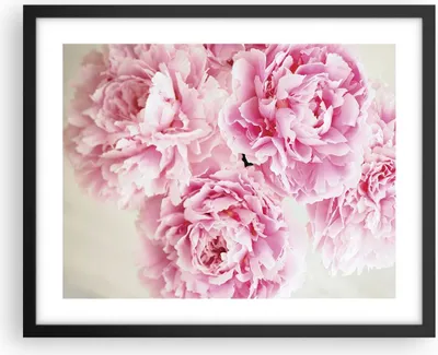 Produktbild von Gerahmtes Poster - Schwarzer Rahmen - Pfingstrosen Blumenstrauß Blumen - 50x40 cm - Wand Bild - Wanddeko - Wandbilder - Kunstposter - Wandposter - Bilderrahmen - Bilder - Kunstdruck - P2BAA50x40-4961