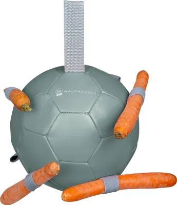 Produktbild von Waldhausen Karottenball Pferde Spielball zur Beschäftigung, Größe:ONE