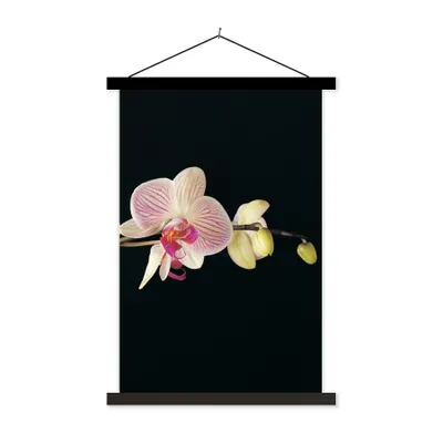 Produktbild von MuchoWow® Textilposter Orchidee - Blumen - Schwarz - Rosa - Knöpfe 120x180 cm mit schwarzem Rahmen - Fotos