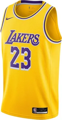 Produktbild von Tshirts Nike Nba Los Angeles Lakers Lebron James Icon Edition CW3669734