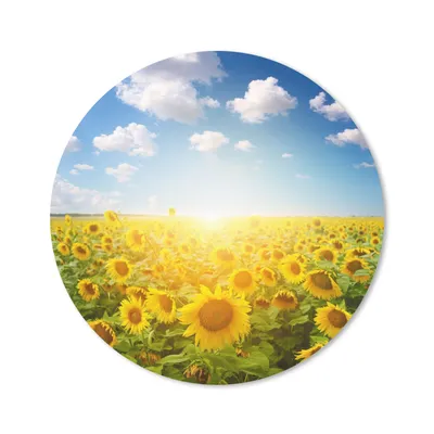 Produktbild von MuchoWow® Mauspad Mousepad Sonnenblume - Sonne - Wolken 20x20 cm - Mousepads - Maus Mat - Pad - Mausunterlage - Schreibtischmatte