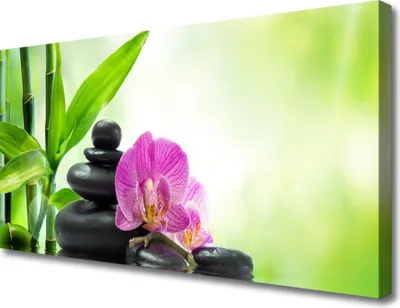 Produktbild von Tulup Leinwand-Bilder 100x50 Wandbild Canvas Kunstdruck Bambusrohre Blume Steine