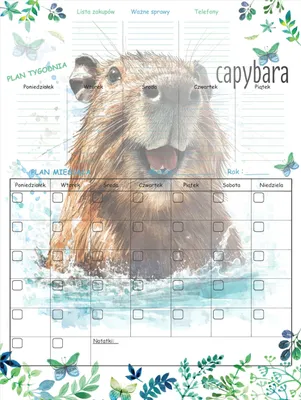Produktbild von Kühlschrankplaner MAGNETTAFEL Kapybara Zeitplan KALENDER STIFT