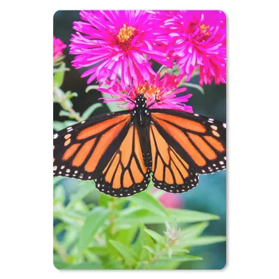 Produktbild von MuchoWow® Mauspad Mousepad Schmetterling - Botanisch - Blume 18x27 cm - Mousepads - Maus Mat - Pad - Mausunterlage