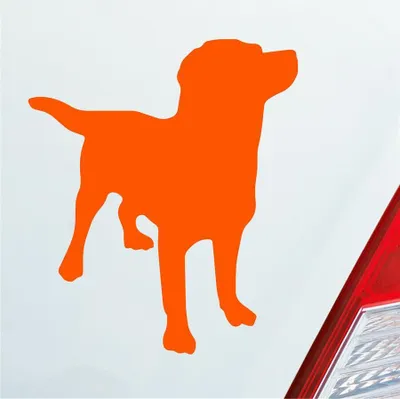 Produktbild von Auto Aufkleber Labrador Labbi Retriever Dog Hund Dog Tier 10x12 cm Orange Sticker Heckscheibenaufkleber