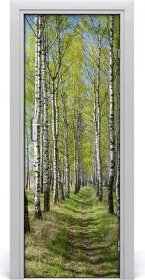 Produktbild von Tulup Türaufkleber 75x205 cm Dekorative Aufkleber Selbstklebend Wasserdichte Tapete Abnehmbar Schlafzimmer Wohnzimmer Wohnkultur - Birkenwald